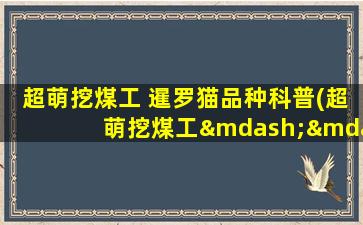 超萌挖煤工 暹罗猫品种科普(超萌挖煤工——暹罗猫品种科普指南)